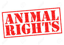 animal rights